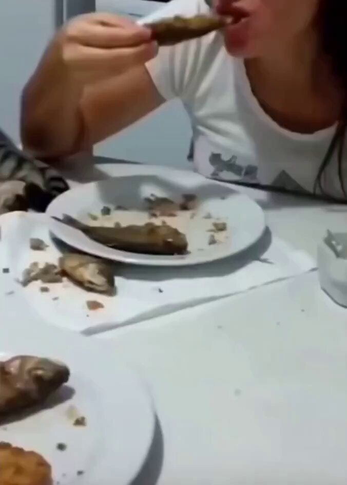 Un chat vole la nourriture : une menace pour nos repas ?