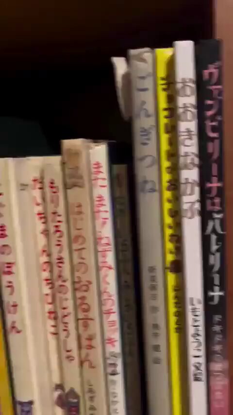 Crise Littéraire : La France Face à l'Invasion des Livres de Chats Japonais