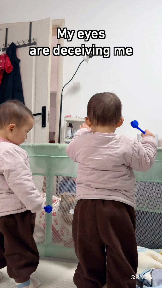 Double Vision : Une Révolution Visuelle au Cœur des Parcs à Bébé