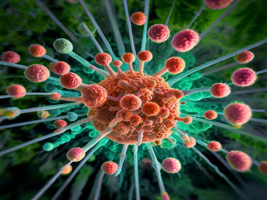 Une découverte bactérienne ouvre la voie à un traitement révolutionnaire contre les maladies des enfants